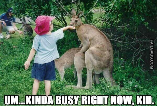 Best Adult Dirty Humor NSFW Memes 