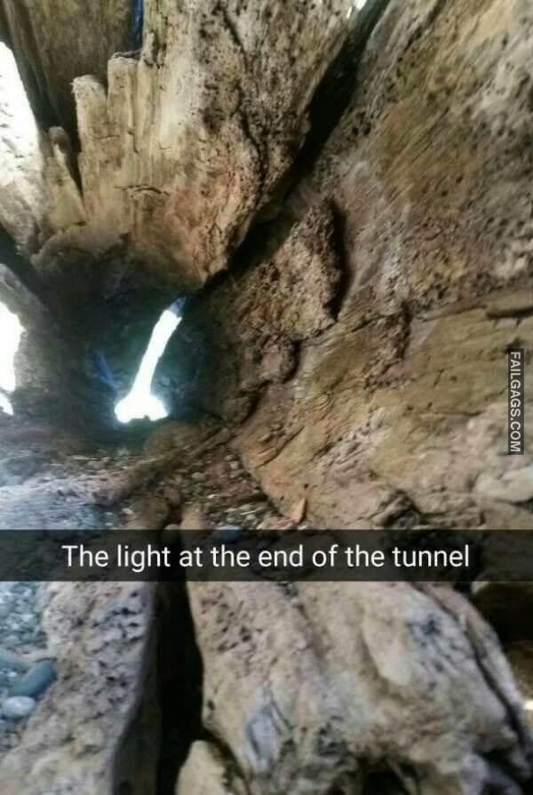 Best Adult Dirty Humor NSFW Memes 