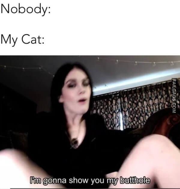 Best Adult Dirty Humor NSFW Memes 