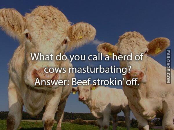 Dirty Double Meaning Jokes 