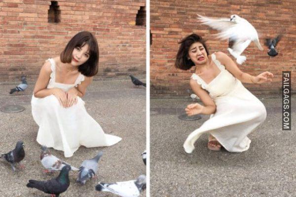 Perfect Instagram Photos? Or Perfectly Staged? 