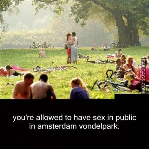 Sex in Public I Love Amsterdam Youre Allowed to Have Sex in Public in Amsterdam Vondelpark