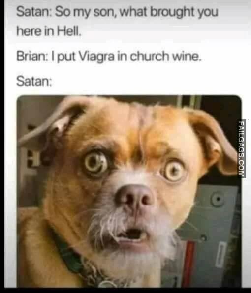 Viagra in Holy Water Satan So My Son What Brought You Here in Hell Brian I Put Viagra in Church Wine Satan Meme