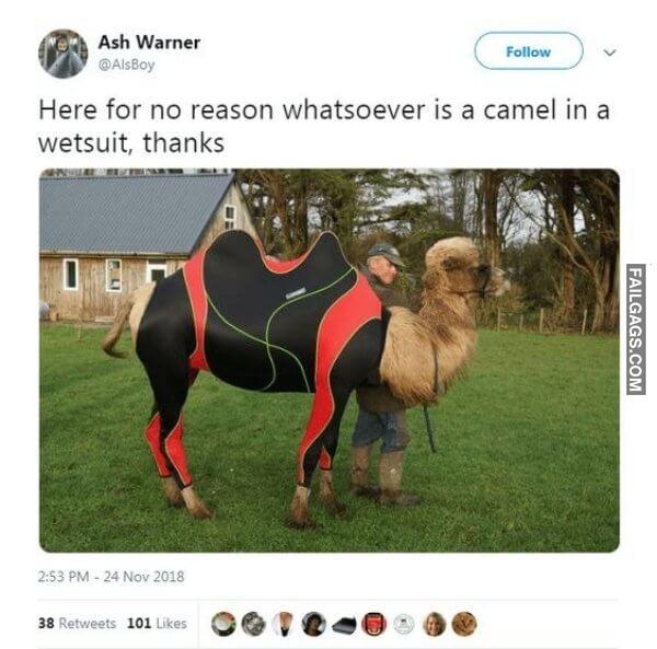 WTF Photos Can Someone Please Tell Me Wtf is Happening Here? 