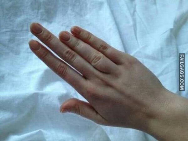 WTF Photos Can Someone Please Tell Me Wtf is Happening Here? 