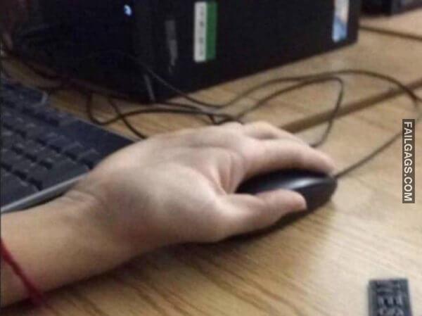 WTF Photos Can Someone Please Tell Me Wtf is Happening Here? 