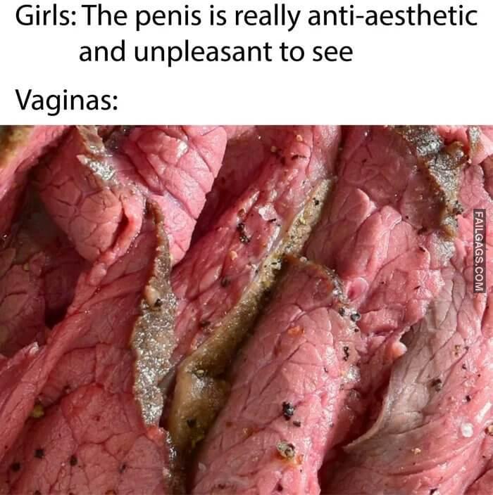 You Think You Have Good Looking Vagina Girls the Penis is Really Anti aesthetic and Unpleasant to See Vaginas Memes