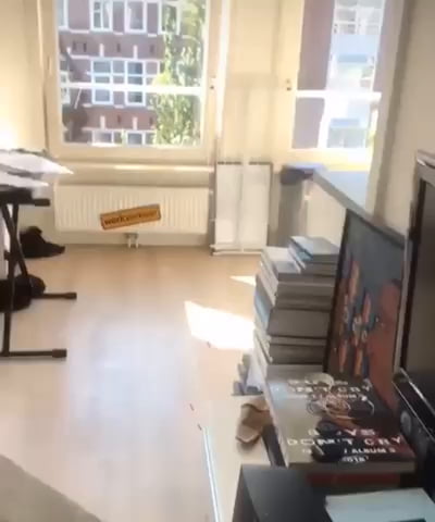 aEgGmeG 460s1