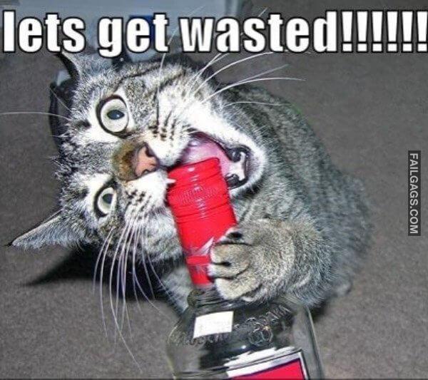 Got Wasted Meme 