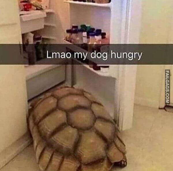 Got Wasted Meme 