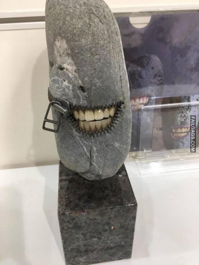 Hard to Explain Wtf Photos 