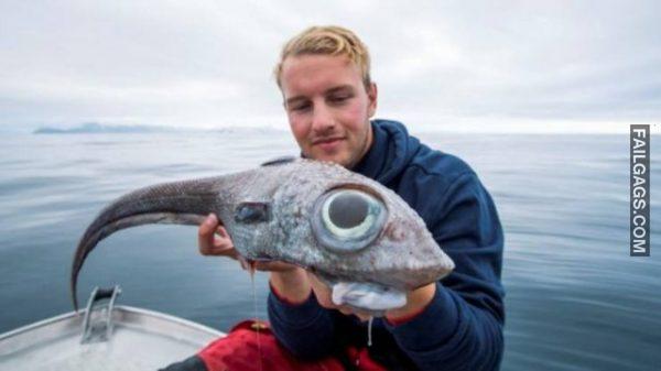 Hilarious WTF Photos 