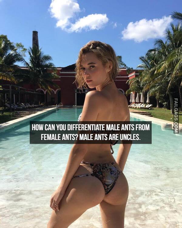Sexy and Funny 