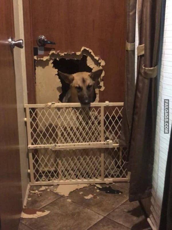 WTF Sh*t Happens Sometimes 