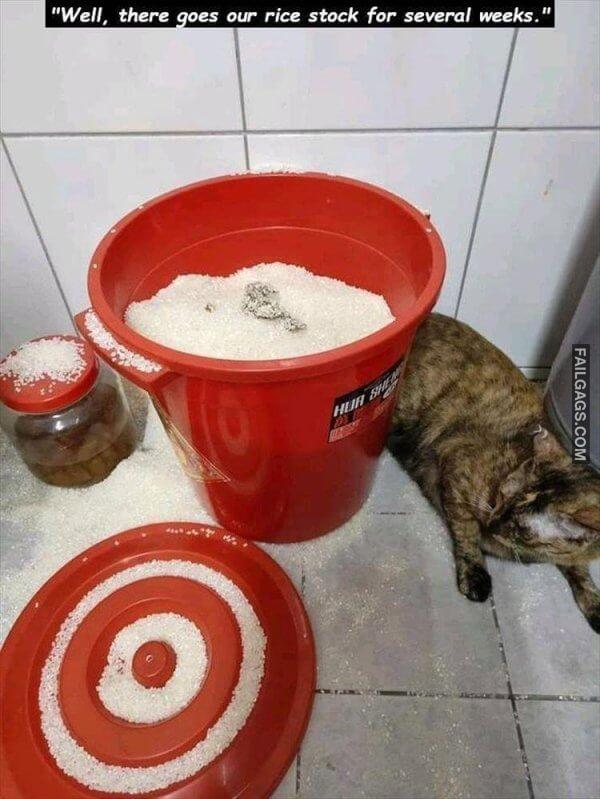 WTF Sh*t Happens Sometimes 