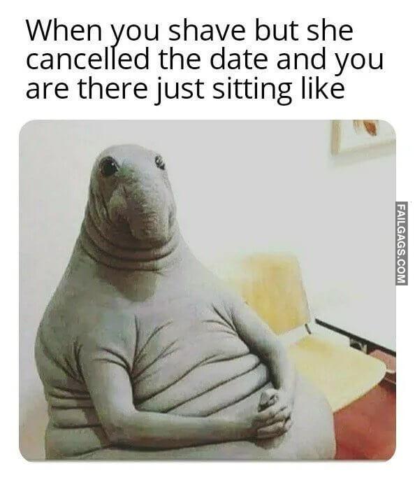 When She Cancelled the Date When You Shave but She Cancelled the Date and You Are There Just Sitting Like Memes