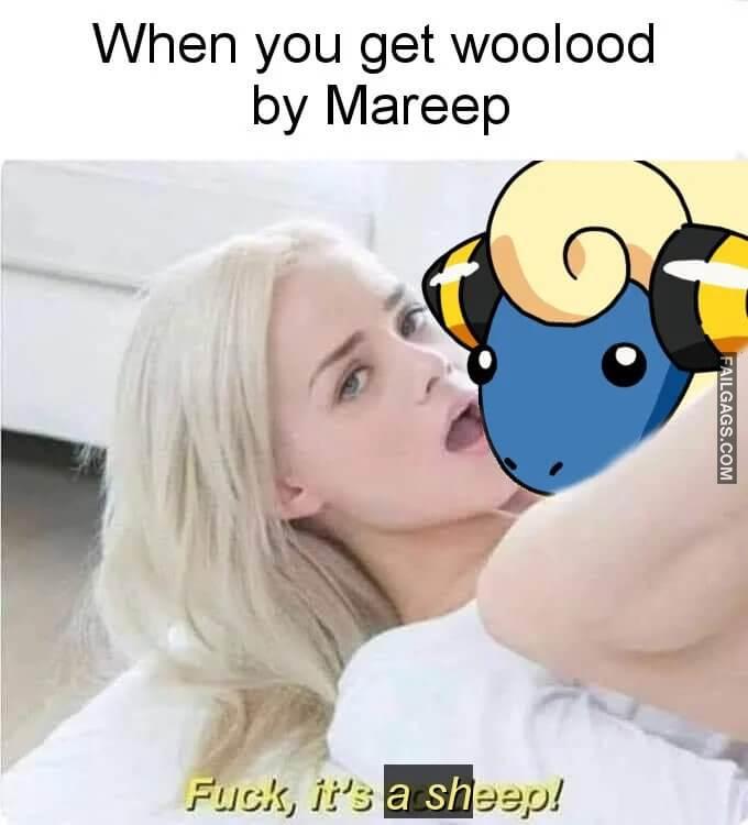 When You Get Woolood by Mareep Fuck Its a Sheep Memes
