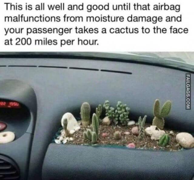 Random Funny Pictures 