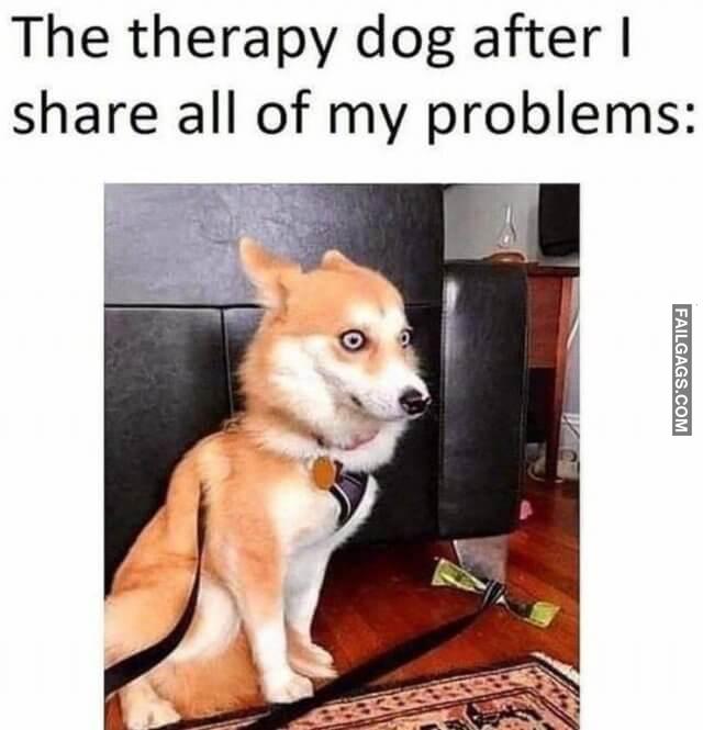 Random Funny Pictures 