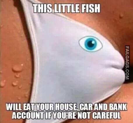 This Little Fish Will Eat Your House Car and Bank Account if Youre Not Careful Be Careful Fish is Dangerous Memes