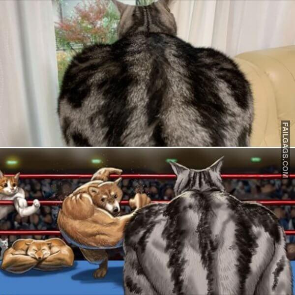 Look Twice to Understand What You Are Seeing 21