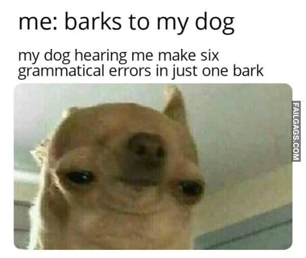 Random Funny Memes 12