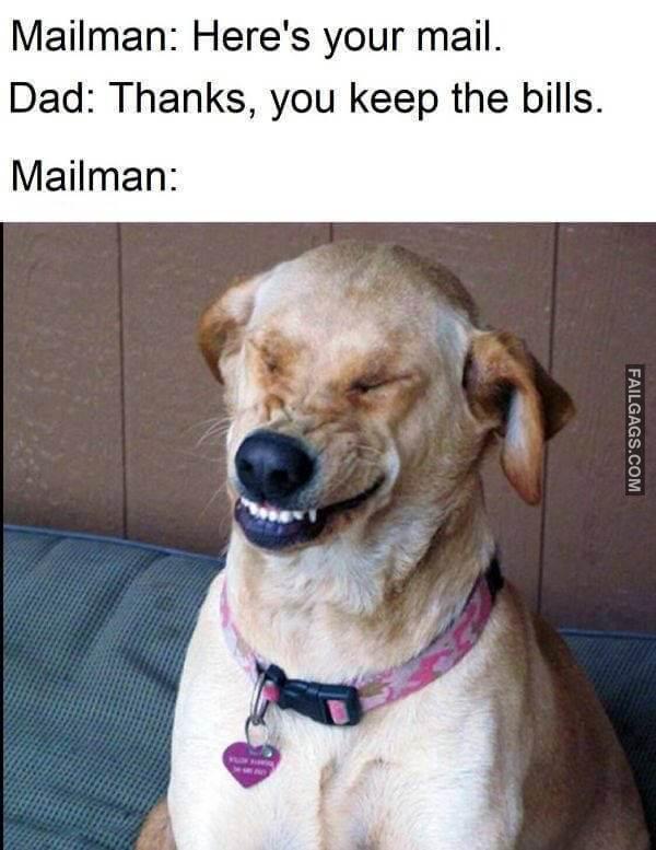 Random Funny Pictures 14