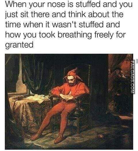 When Your Nose is Stuffed and You Just Sit There and Think About the Time When It Wasn't Stuffed and How You Took Breathing Freely for Granted Memes