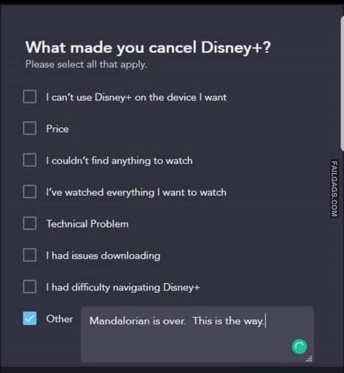 What Made You Cancel Disney+? Mandalorian is Over This is the Way Memes