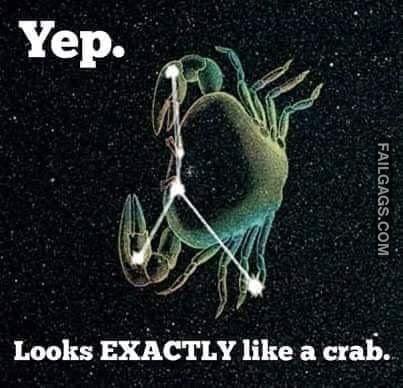 Yep Looks Exactly Like a Crab Memes