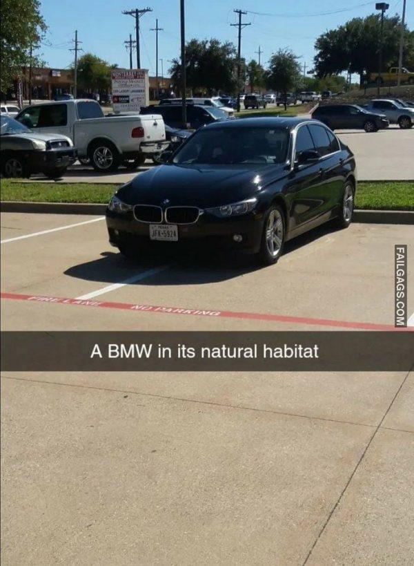 A BMW in Its Natural Habitat Memes