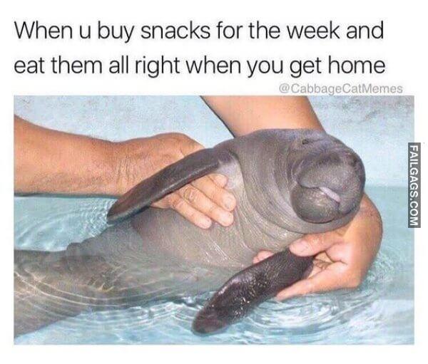 Funny Food Memes 14