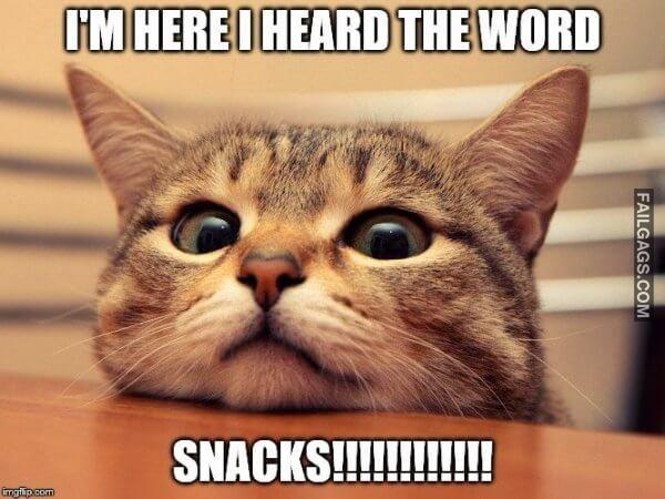 Funny Food Memes 17