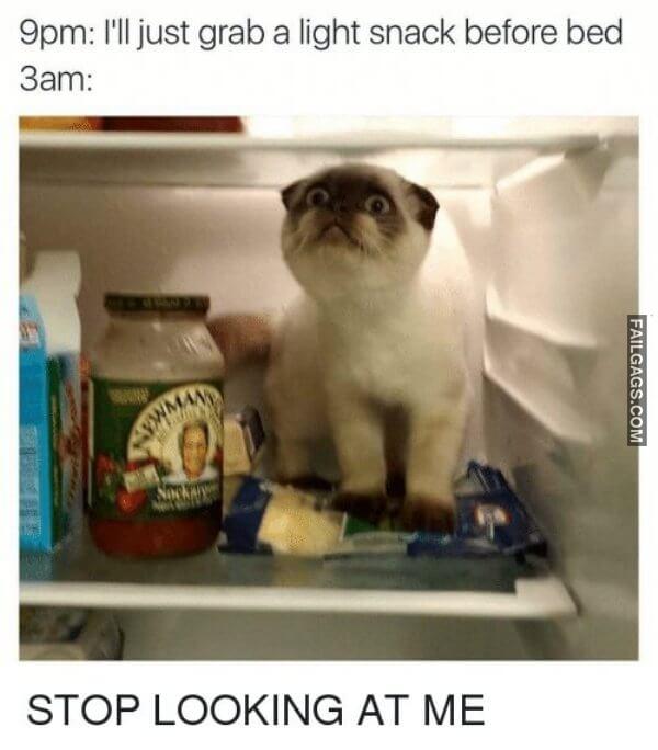 Funny Food Memes 22