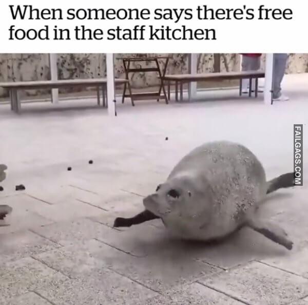 Funny Food Memes 6