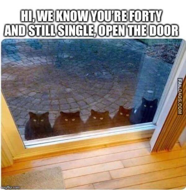 Funny Memes 3 1