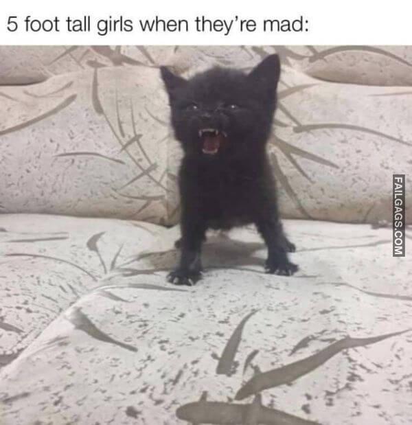Funny Memes 5 1