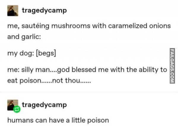 Funny Tumblr Jokes 9