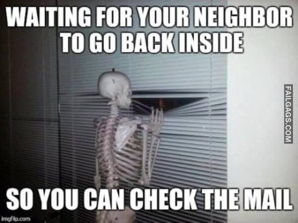 No Arguments Needed Memes 6