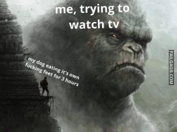 Random Funny Memes 8 1