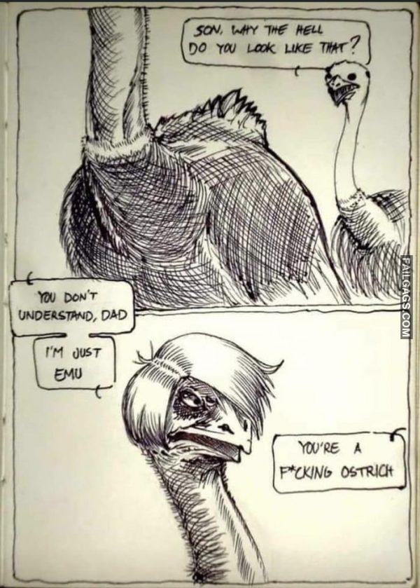 Aon Why the Hell Do You Look Like That? You Dont Understand Dad I'm Just Emu You're a Fucking Ostrich Memes