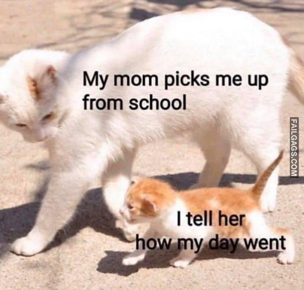 My Mom Picks Me Up From School I Tell Her How My Day Went Memes