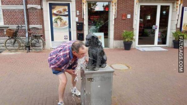 Funny Pics That Are Kinda Hard to Explain 4