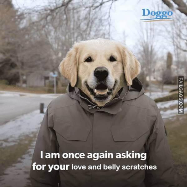 Memes Full of Wholesomeness 13