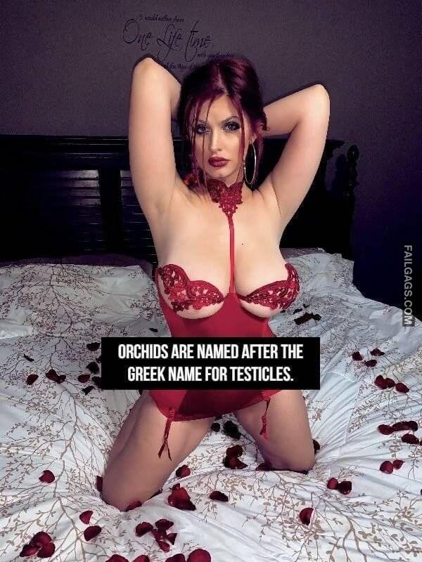 NSFW Facts 17