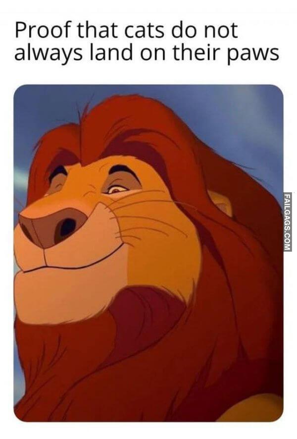 Random Funny Memes 1 6