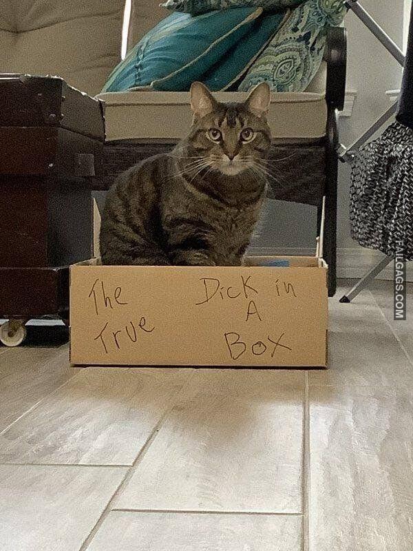 Random Funny Memes 12 9