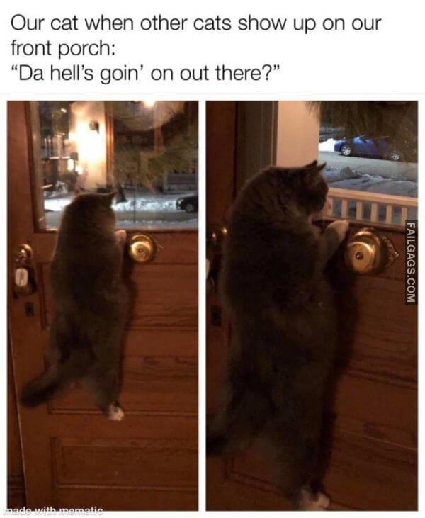 Random Funny Memes 13 9