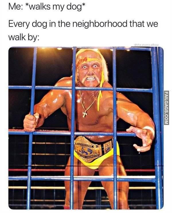 Random Funny Memes 14 10