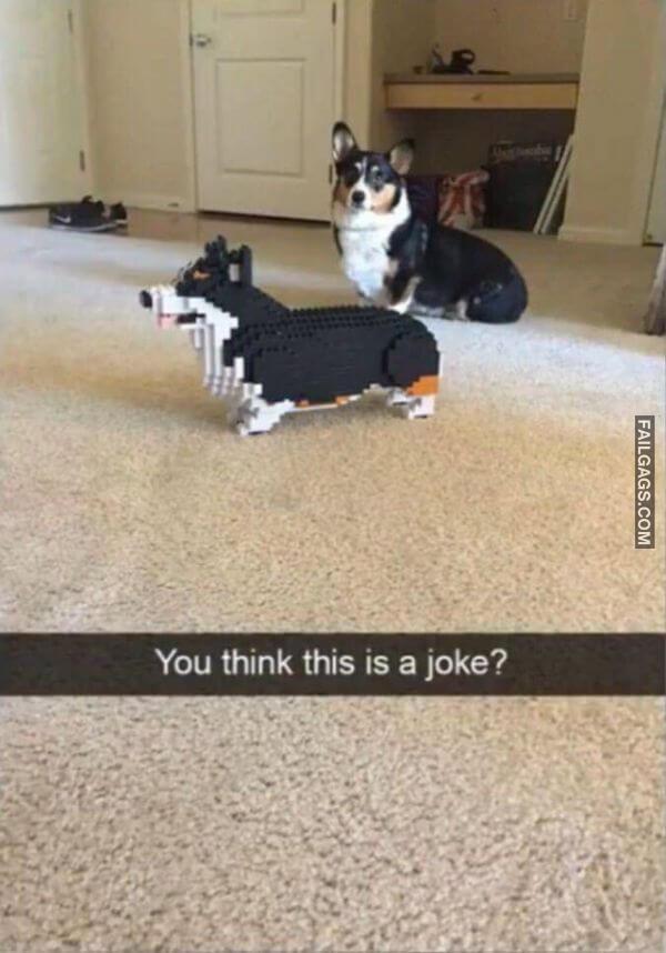 Random Funny Memes 14 3